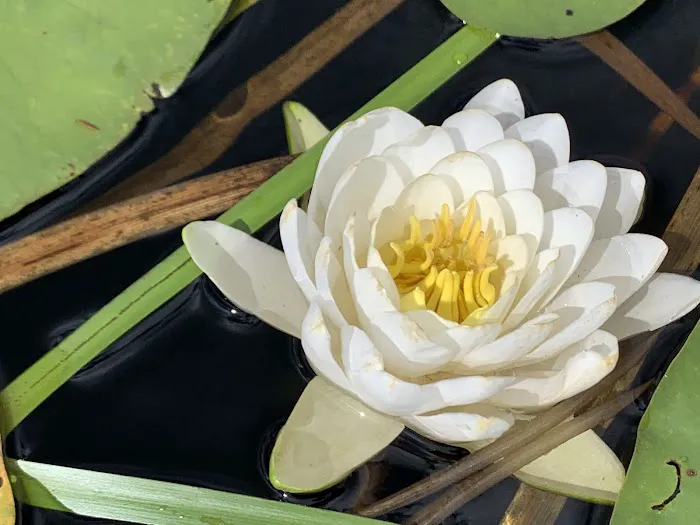 Kayuta Lake Campground and Marina Picture 3