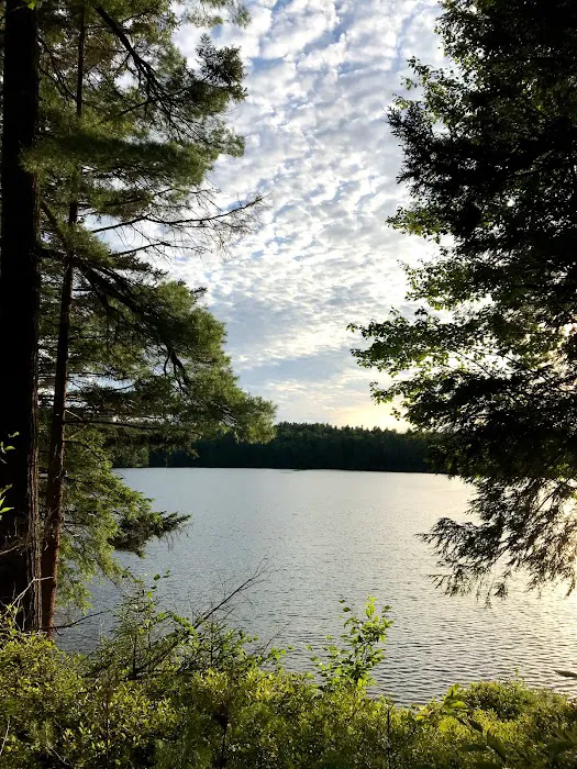 Masonic Home Camp at Round Lake Picture 2