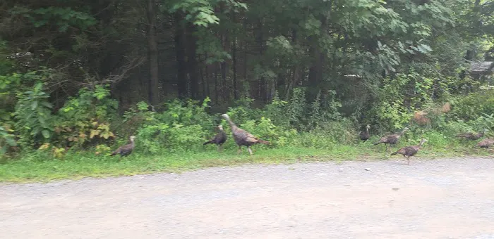 Stysh's Brown Barn Campgrounds Picture 8