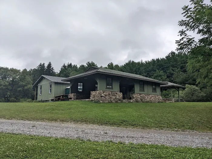 Wonderland Forest Picture 4