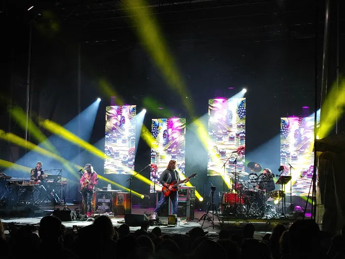 Wonderland Forest Picture 1