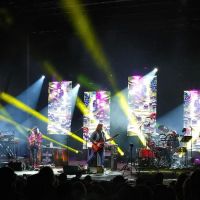 Wonderland Forest ico