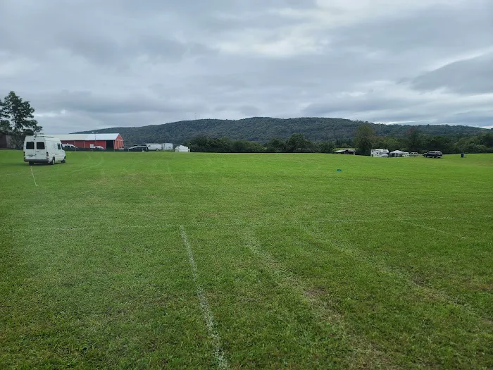 Wonderland Forest Picture 9