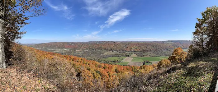 Wonderland Forest Picture 7