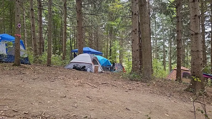 Wonderland Forest Picture 8