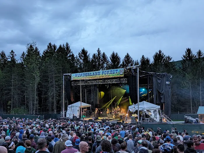 Wonderland Forest Picture 6