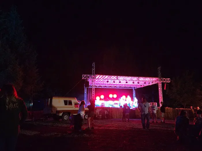 Wonderland Forest Picture 3