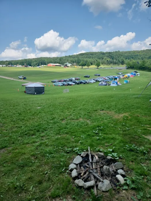 Wonderland Forest Picture 2