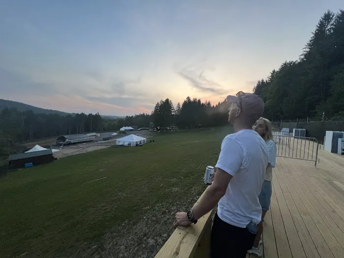 Wonderland Forest Picture 10