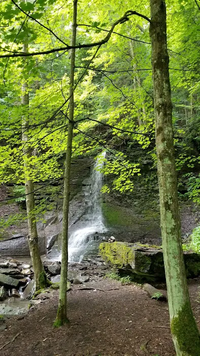 Otisco Lake Campgrounds and Marina Picture 6