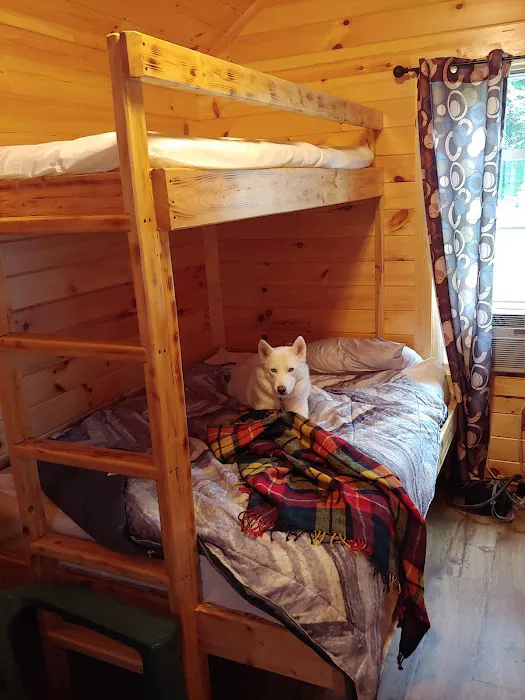 Oneida pines Resort Picture 3