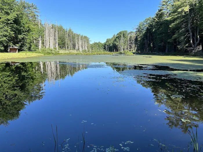 Oneida pines Resort Picture 6