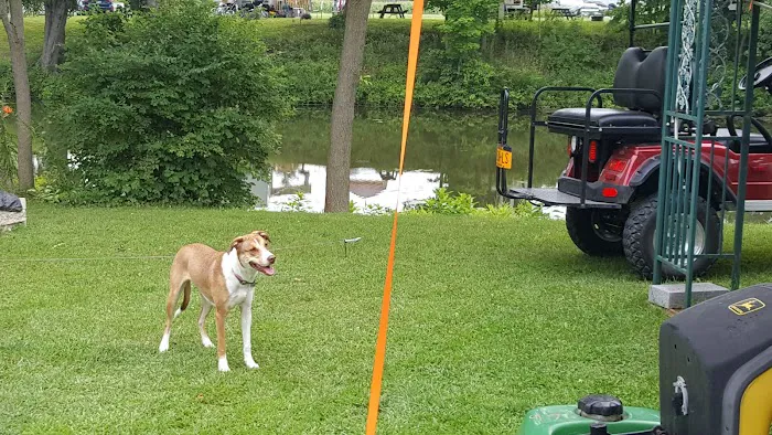 Mayfair Campground Picture 2