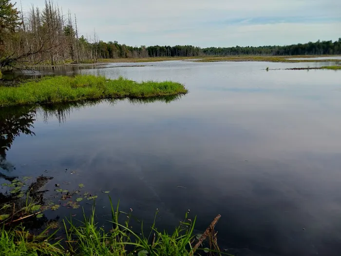 Whispering Woods Campground Picture 3