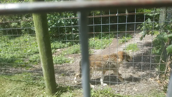 Penn Avon Campground Picture 5