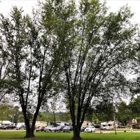 Penn Avon Campground ico