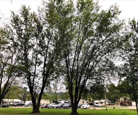 Penn Avon Campground