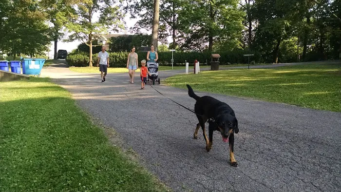 Central Oak Heights Picture 5