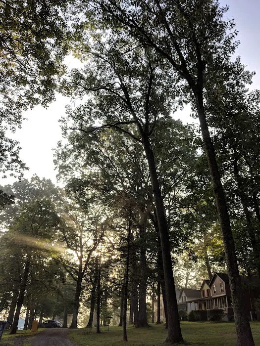 Central Oak Heights Picture 10