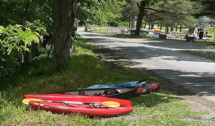 Little Mexico Campground Picture 7