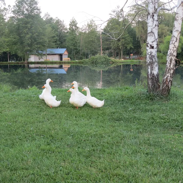 Hidden Creek Campground (2017) Picture 9