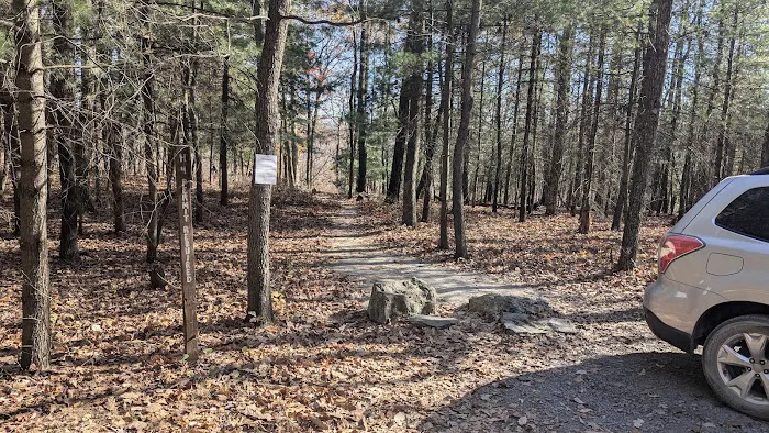 Weiser State Forest (Halderman Tract) Campsite H4 Tract) Picture 1