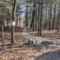 Weiser State Forest (Halderman Tract) Campsite H4 Tract) ico