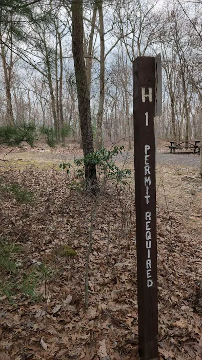 Weiser State Forest (Haldeman Tract) Campsite H1 Picture 1