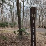Weiser State Forest (Haldeman Tract) Campsite H1