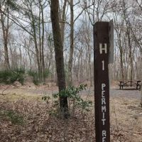 Weiser State Forest (Haldeman Tract) Campsite H1 ico