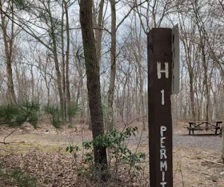 Weiser State Forest (Haldeman Tract) Campsite H1