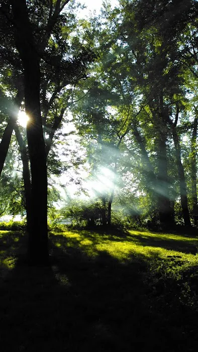 North River Campsite (SRTA) Picture 3