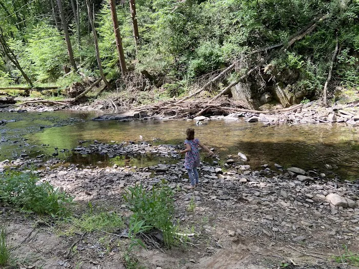 Lakeview Campground- Camp Hebron Picture 1