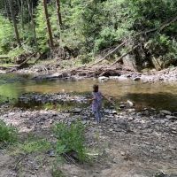 Lakeview Campground- Camp Hebron ico