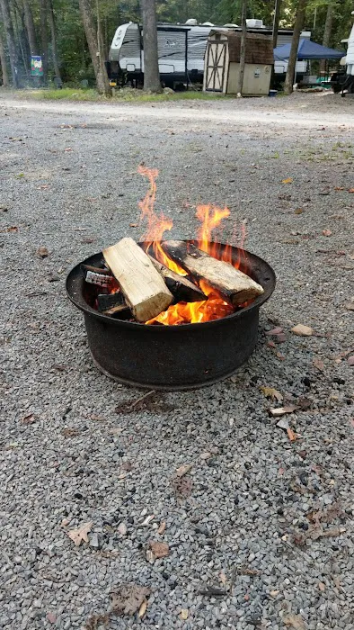 Williamsport South / Nittany Mtn. KOA Holiday Picture 4