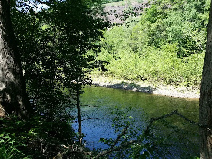 Haleeka Campground Picture 9