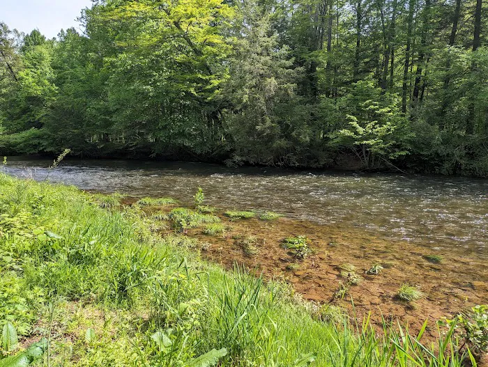 Oilmen's creekside RV sites Picture 5