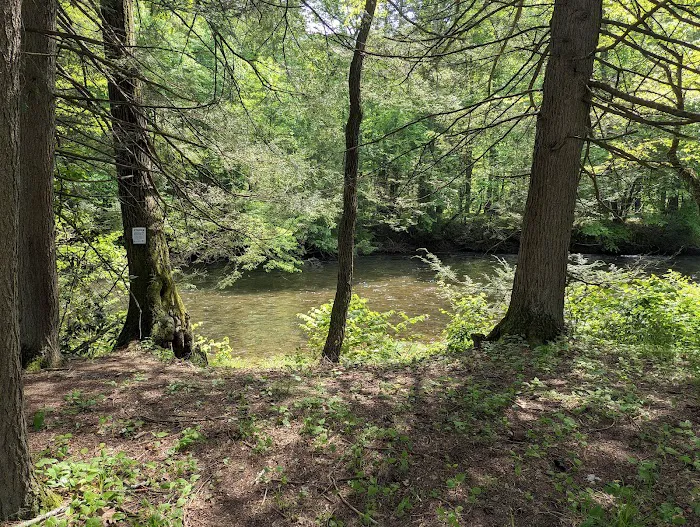 Oilmen's creekside RV sites Picture 10