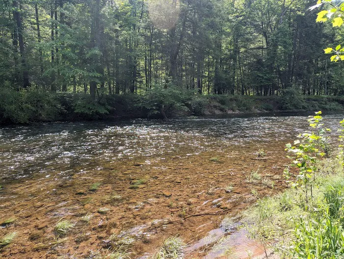 Oilmen's creekside RV sites Picture 7