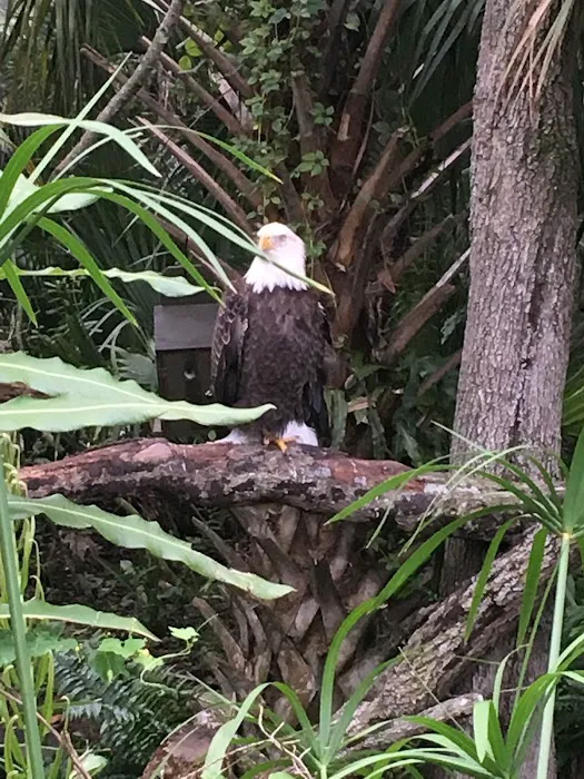 Camp Catherine Hershey Picture 2