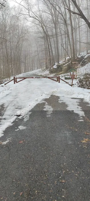 Susquehanna State Park Campground Picture 10