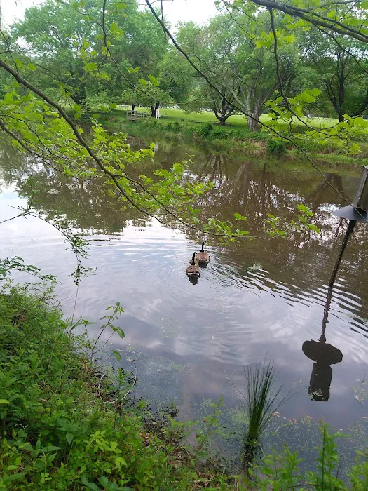 Susquehanna State Park Campground Picture 8