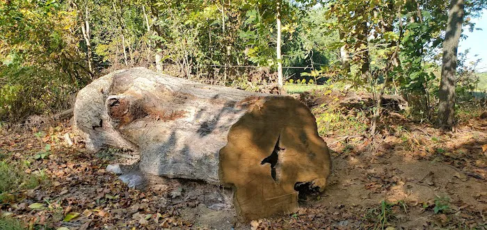 River Rock Recreation Campsite Picture 5