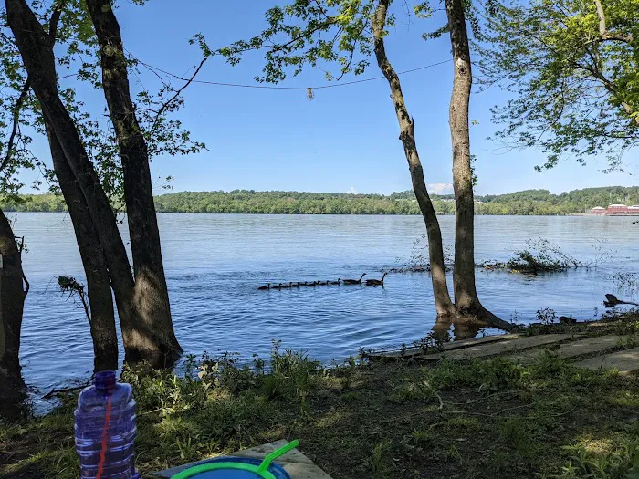 River Rock Recreation Campsite Picture 7