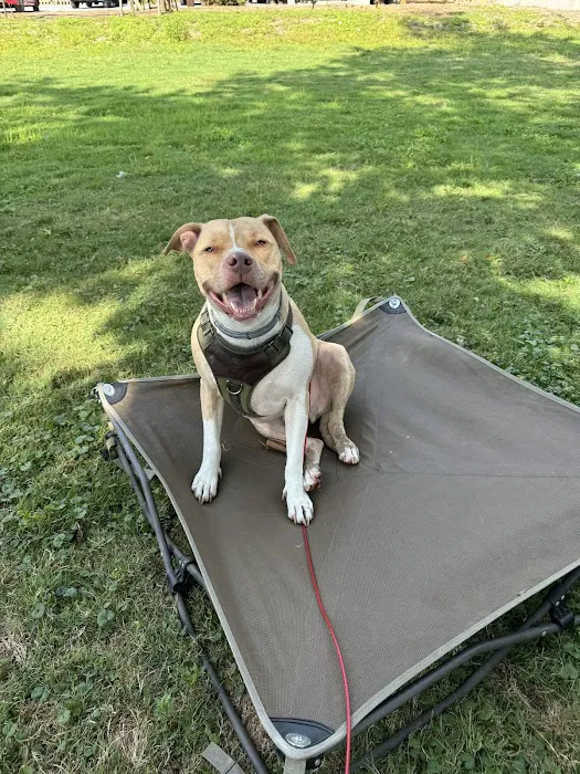 River Pointe Campground & Marina Picture 7