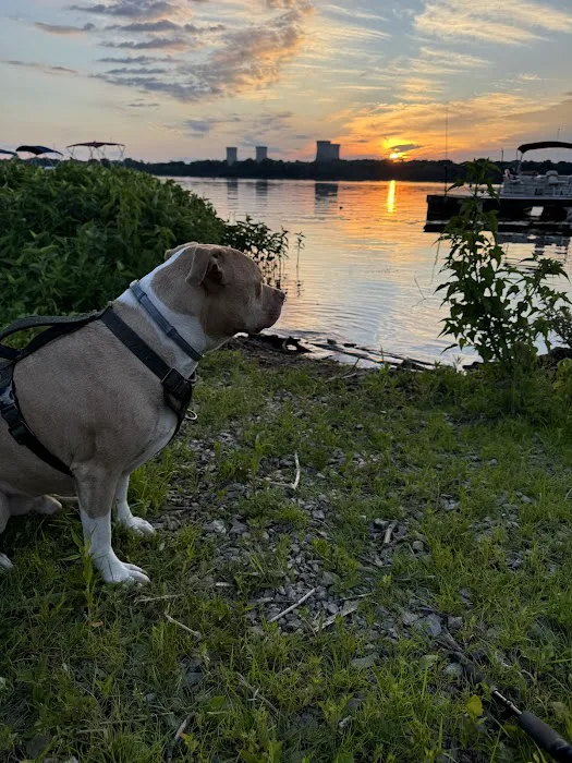 River Pointe Campground & Marina Picture 5