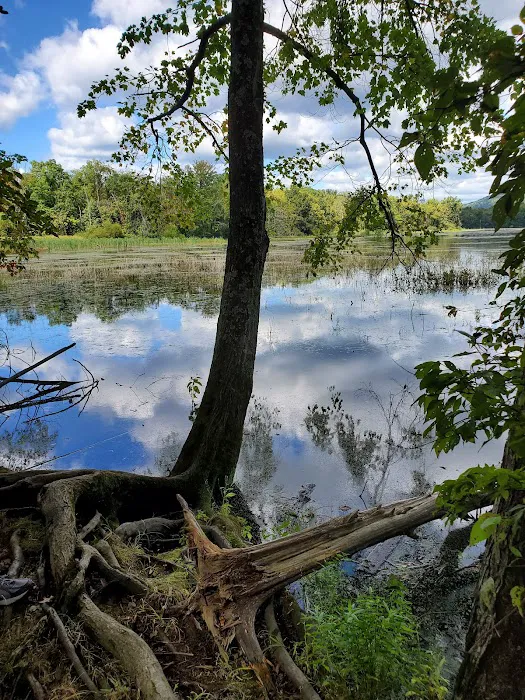 Gifford Pinchot State Park Campground Picture 3