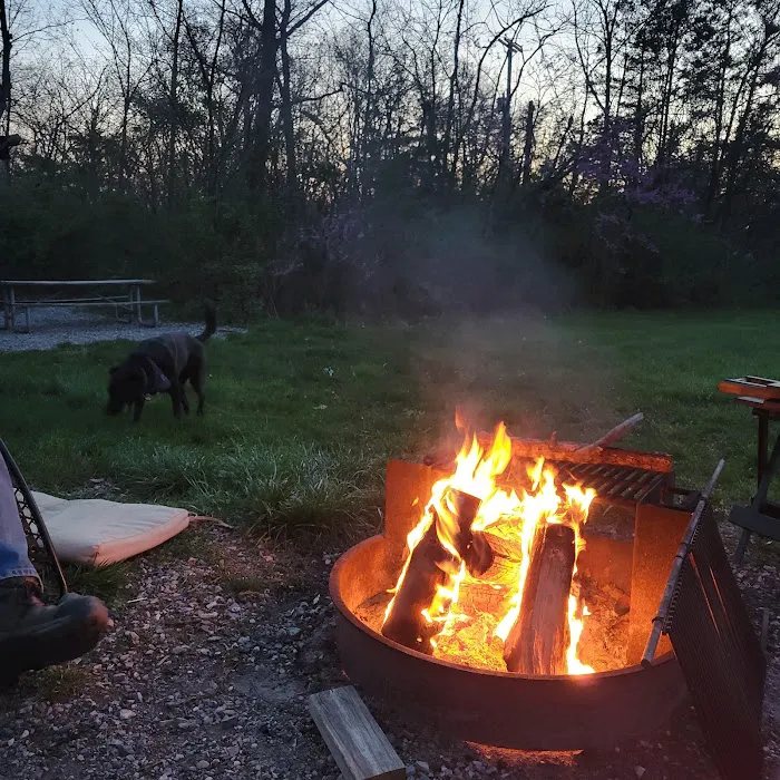 Gifford Pinchot State Park Campground Picture 4