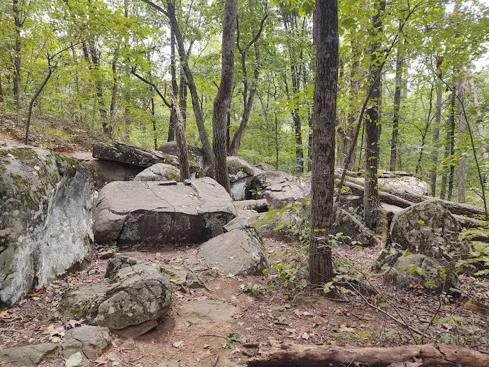 Gifford Pinchot State Park Campground Picture 9