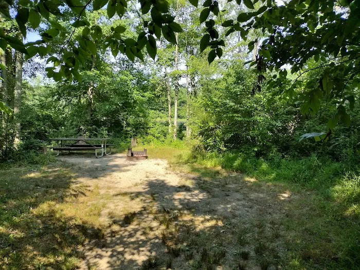 Gifford Pinchot State Park Campground Picture 7